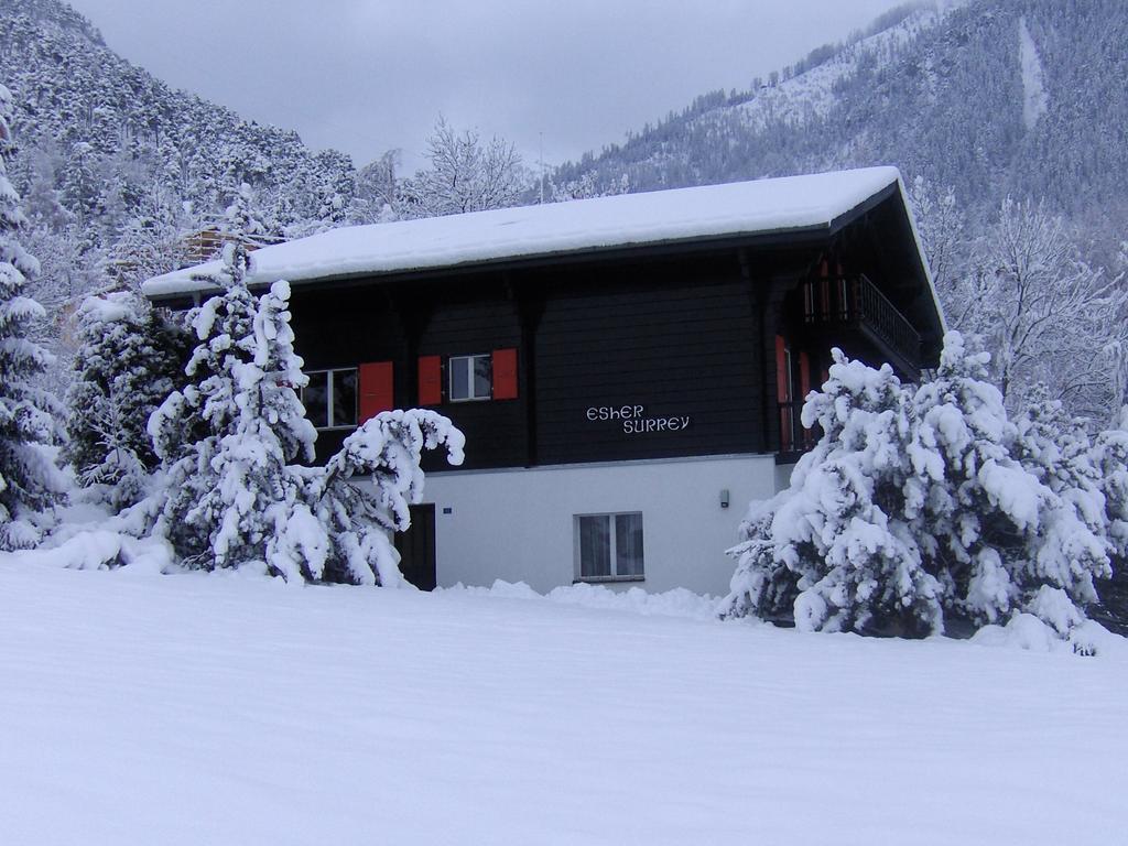 Chalet Esher Surrey Ried-Brig Rom bilde